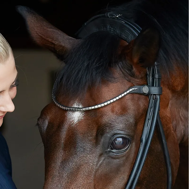 Finesse Spirit Rolled Drop Noseband Bridle - Black/Patent-4