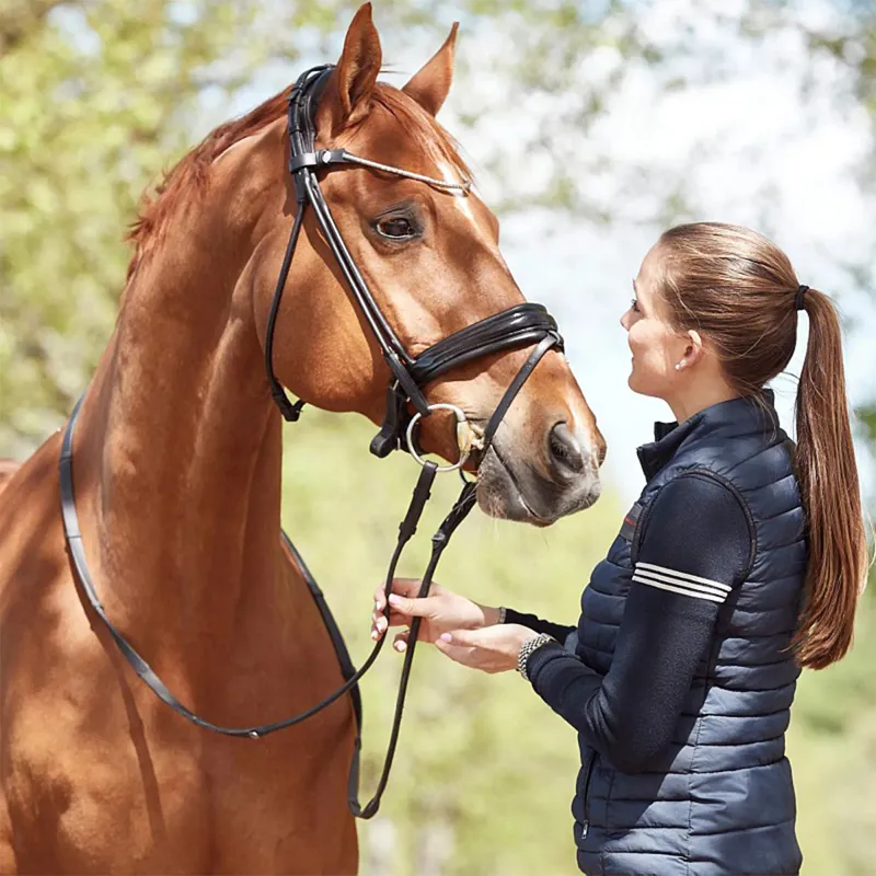 Finesse Cassidy Rolled Padded Flash Bridle - Black/Black/Silver-4