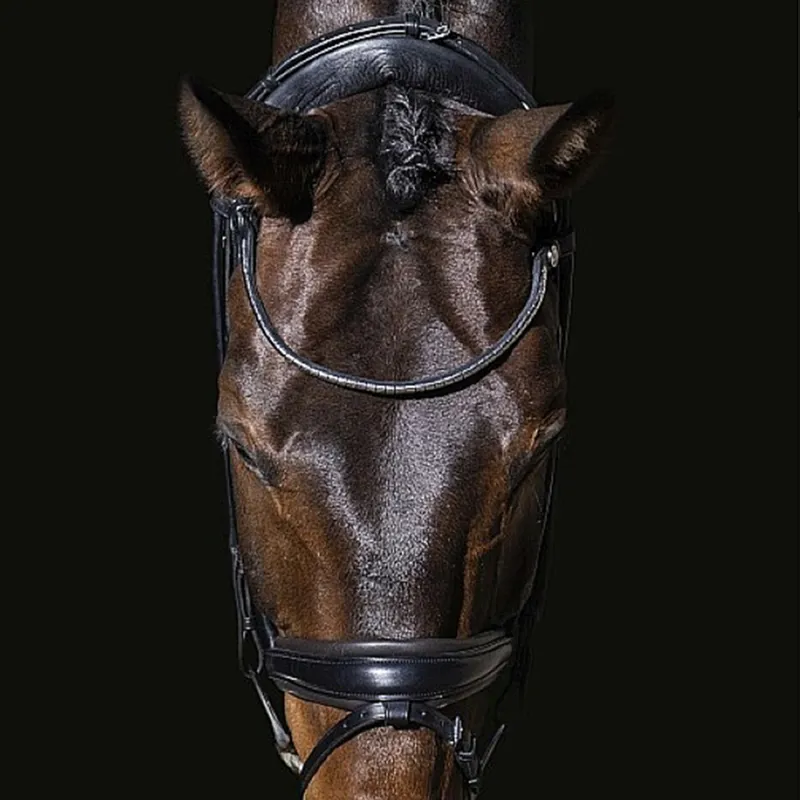 Finesse Cassidy Rolled Padded Flash Bridle - Black/Black/Silver-5