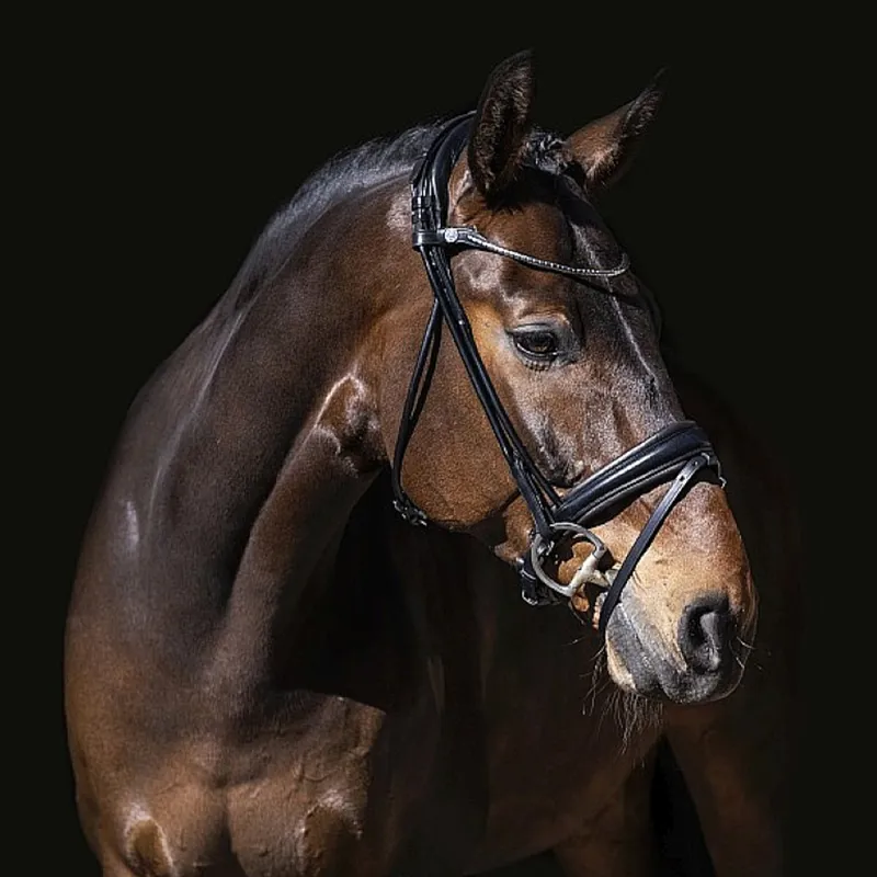 Finesse Cassidy Rolled Padded Flash Bridle - Black/Black/Silver-3