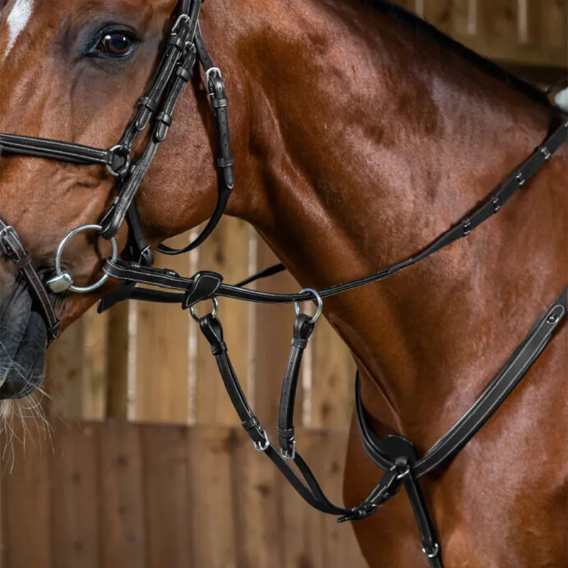 Dy'on Working Collection Running Martingale Attachment - Black-1