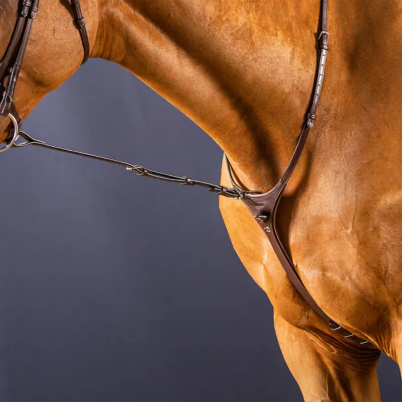 Dy'on New English Standing Martingale Attachment - Brown-1