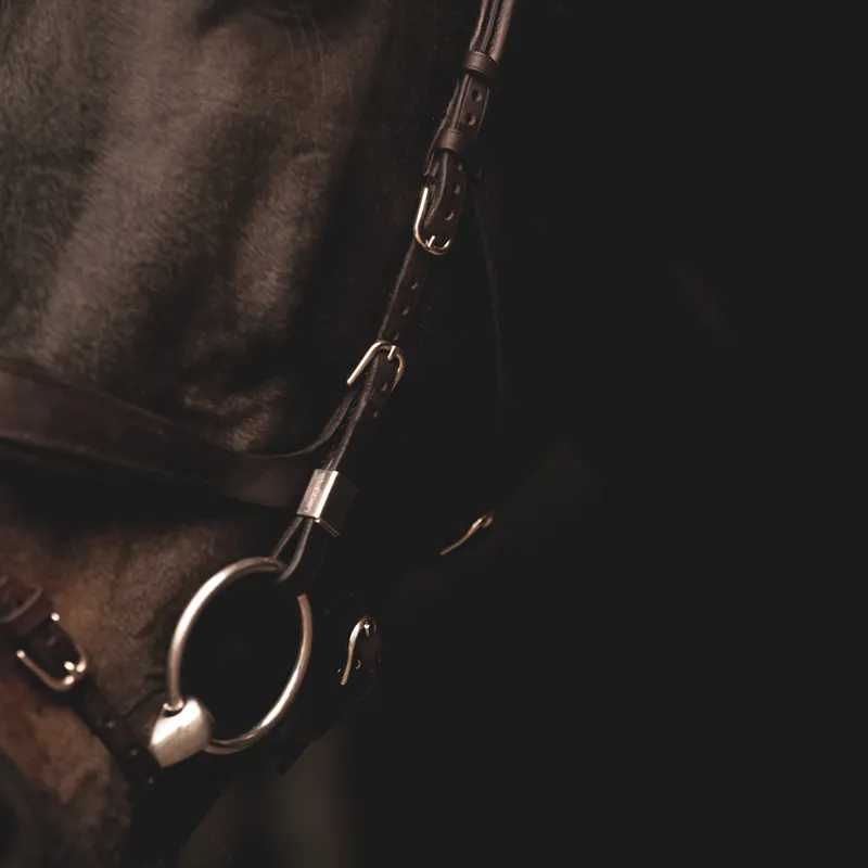 Stubben Freedom II 2505 Bridle - Ebony Brown-2