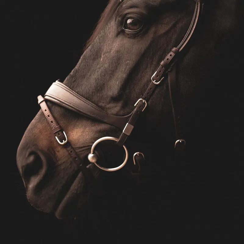 Stubben Freedom II 2505 Bridle - Ebony Brown-3