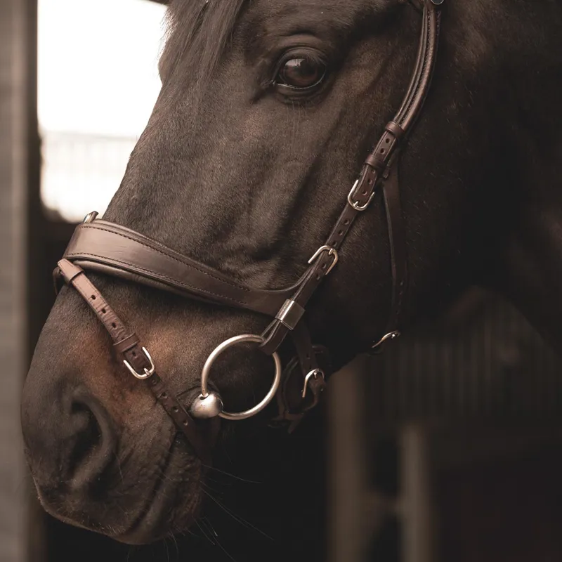 Stubben Freedom II 2505 Bridle - Ebony Brown-4