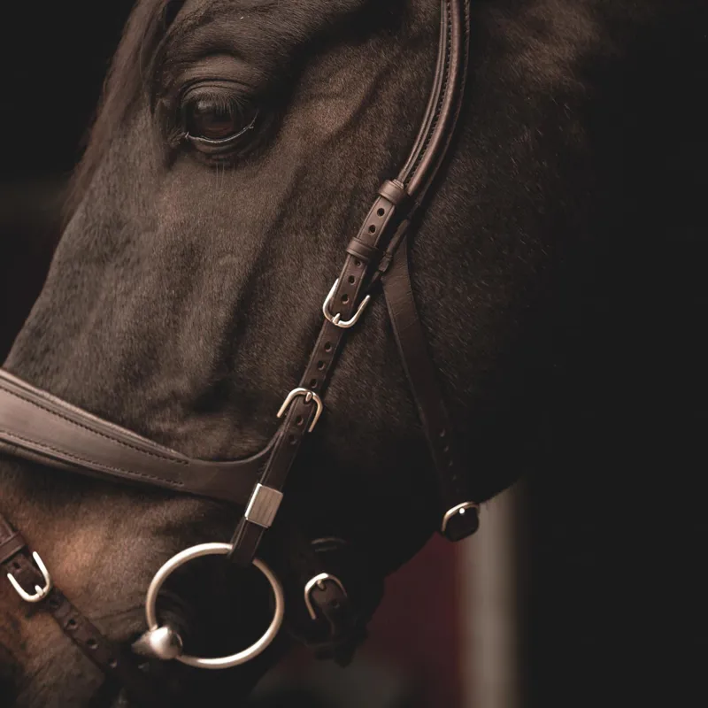 Stubben Freedom II 2505 Bridle - Ebony Brown-5