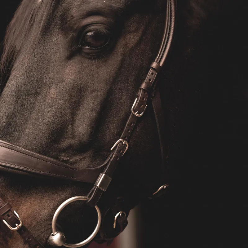 Stubben Freedom II 2505 Bridle - Ebony Brown-1