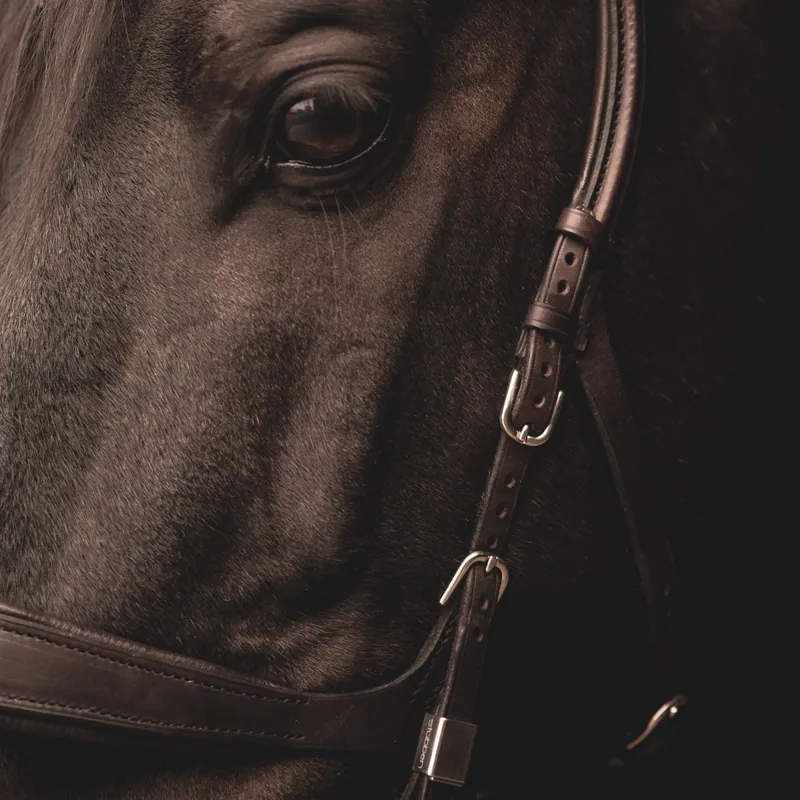 Stubben Freedom II 2505 Bridle - Ebony Brown-6