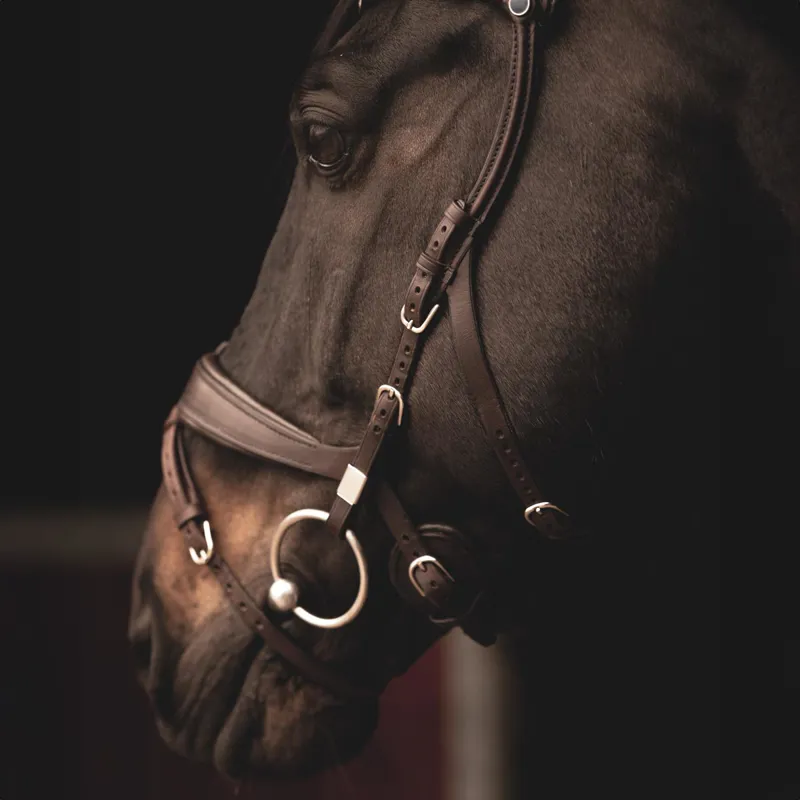 Stubben Freedom II 2505 Bridle - Ebony Brown-7