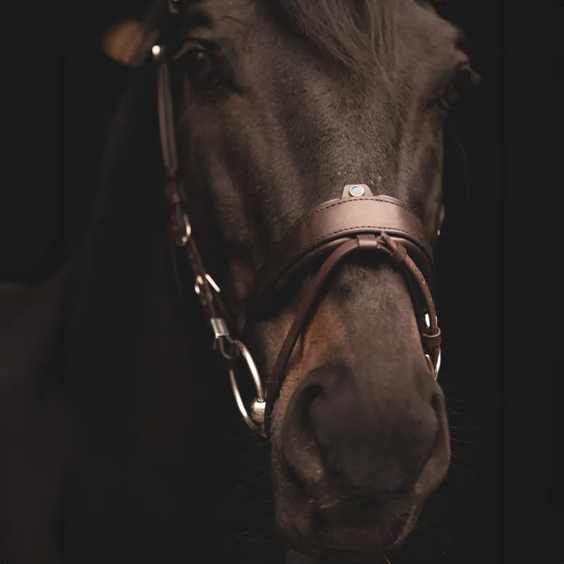 Stubben Freedom II 2505 Bridle - Ebony Brown-8