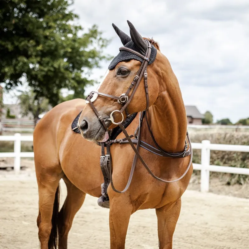 Stubben Padded Leather Breastplate - Ebony-2
