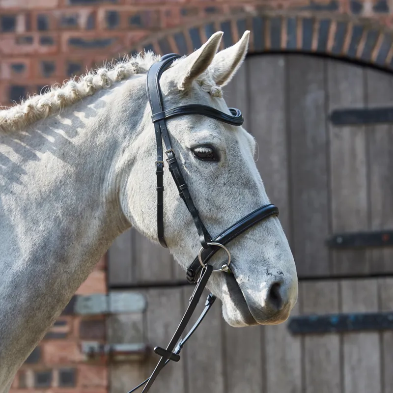 GFS Simplicity Anatomical Bridle - Black-4