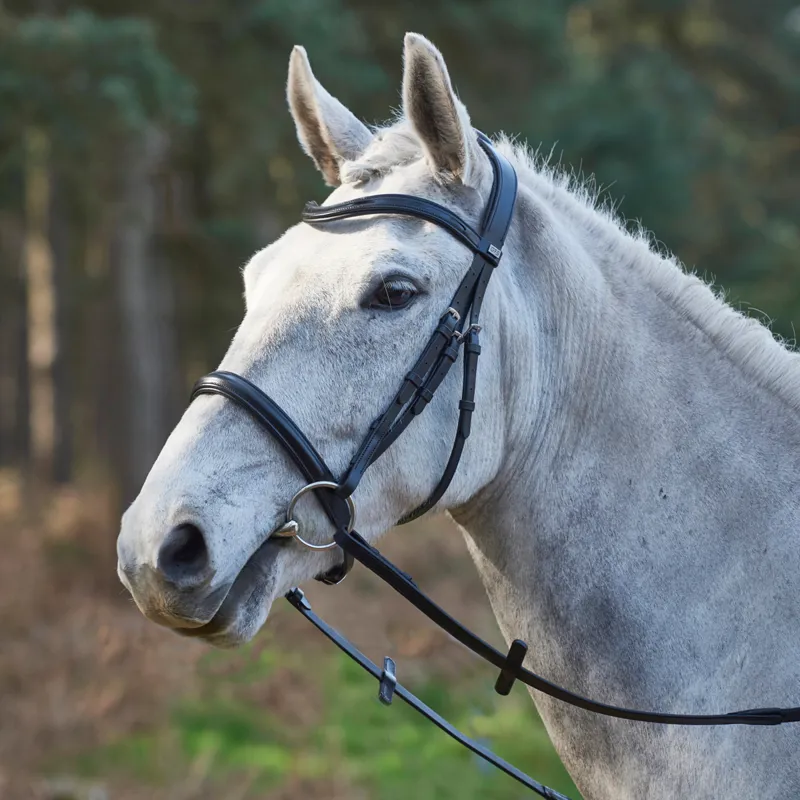 GFS Simplicity Anatomical Bridle - Black