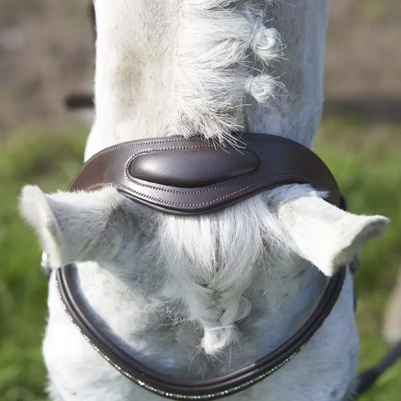 GFS Simplicity Anatomical Bridle - Brown-4