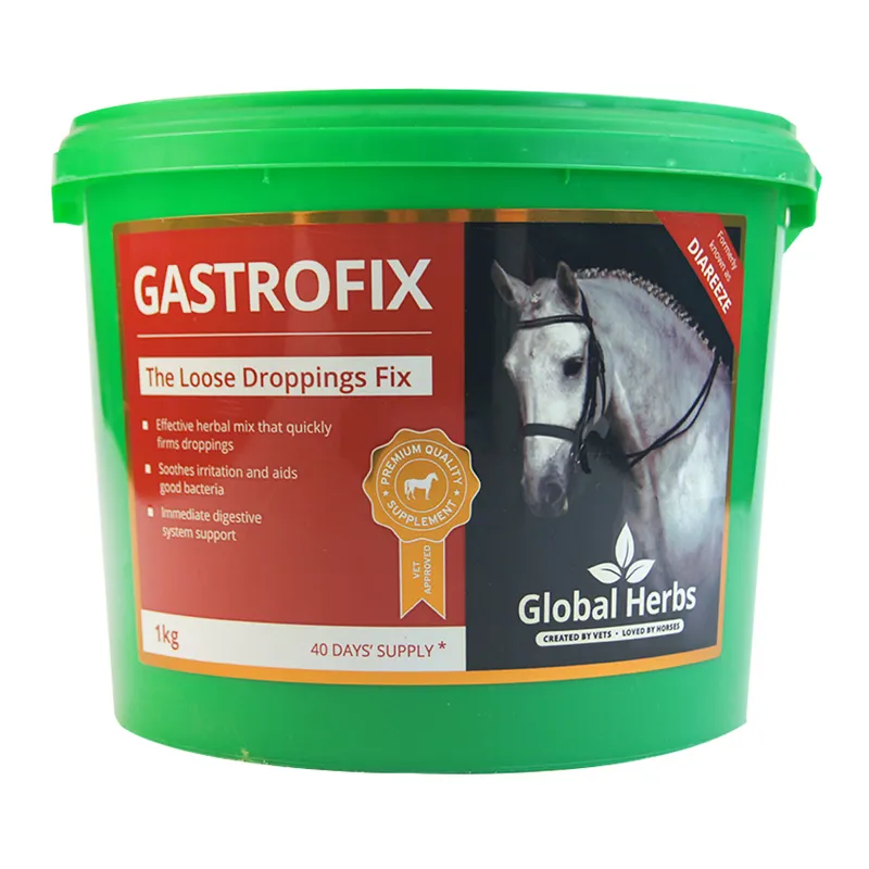 Global Herbs Gastrofix