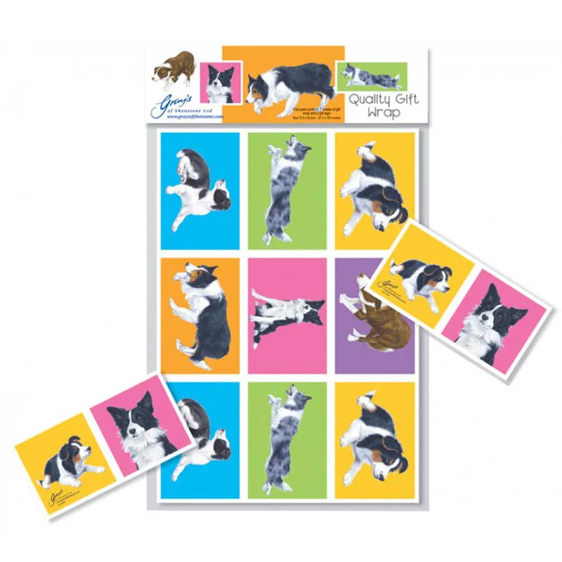 Grays Border Collie Gift Wrap