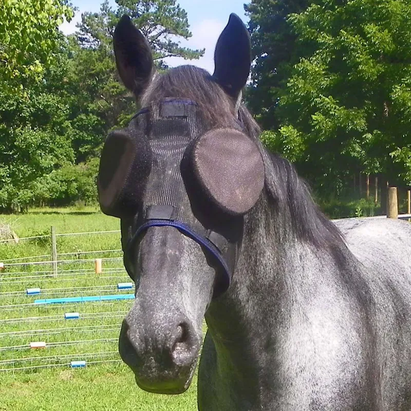 Guardian Horse Standard Mask with 95% Sunshades