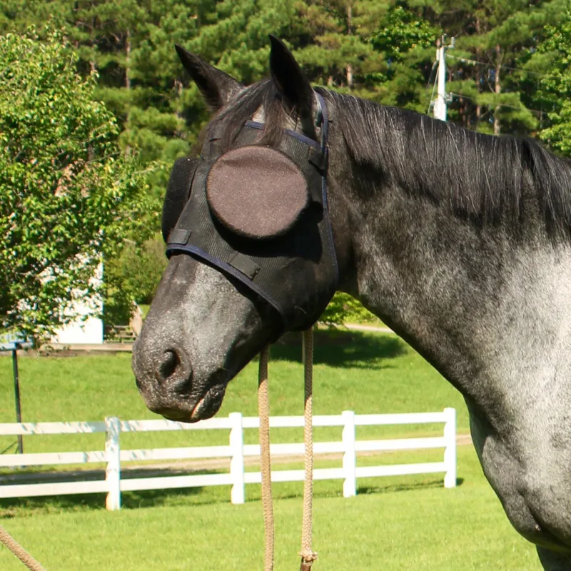 Guardian Horse Standard Mask with 95% Sunshades-4