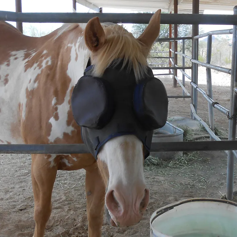 Guardian Horse Replacement Sunshades - 95%-6