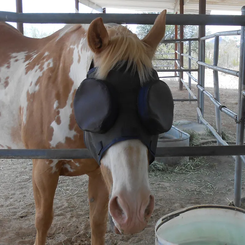 Guardian Horse Standard Mask with 95% Sunshades-5