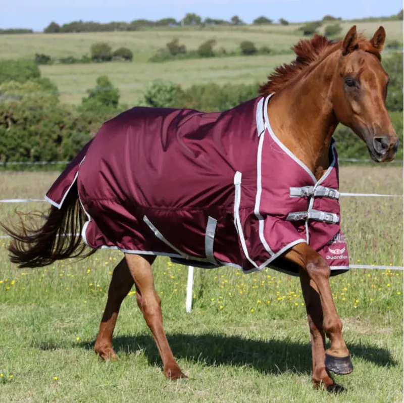 Guardian Fence Buster 250g Detachable Neck Rug with Liner Redpost