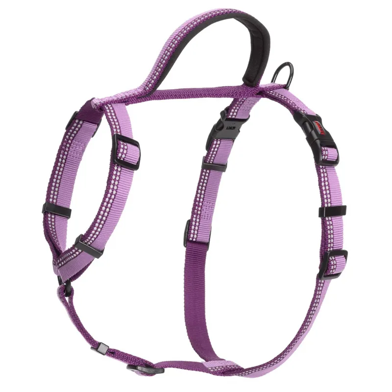 Halti Walking Dog Harness - Purple