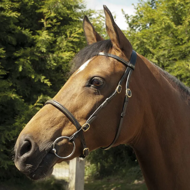 Rhinegold Heritage Leather In-hand Bridle - Havana