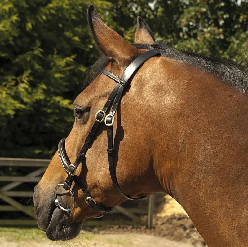 Rhinegold Heritage Leather In-hand Bridle - Black-1