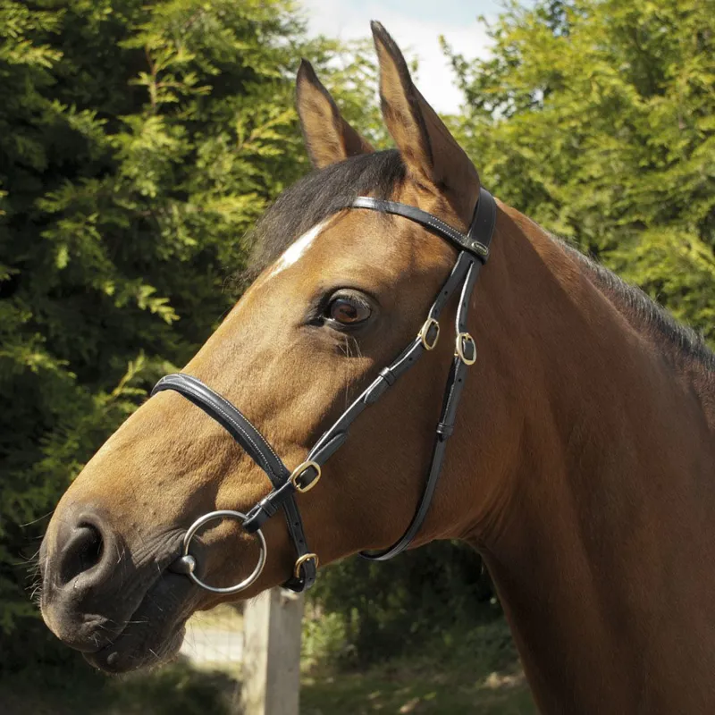 Rhinegold Heritage Leather In-hand Bridle - Black