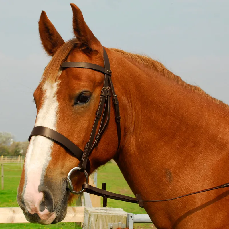 Heritage Hunter Bridle with Wide Noseband - Havana