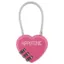 Hippo-Tonic Grooming Box Heart Padlock - Fuchsia
