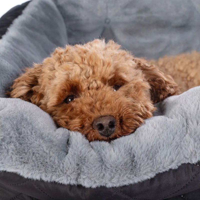 HKM Buddy Dog Travel Bed - Black/Grey-2