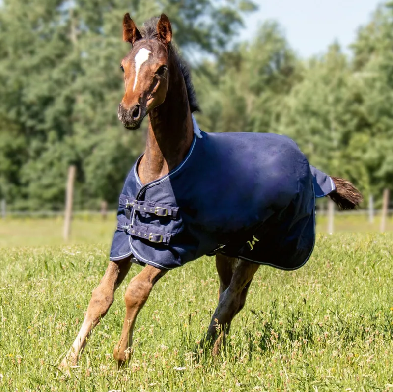HKM Polar Fleece 600D Lightweight Foal Turnout Rug - Deep Blue-1