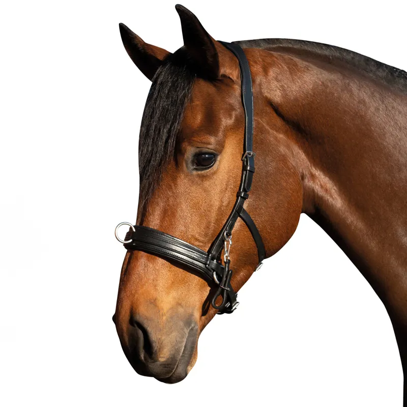 HKM Leather Lunge Cavesson - Black-1