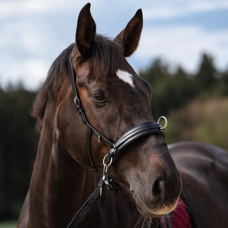 HKM Leather Lunge Cavesson - Black-3