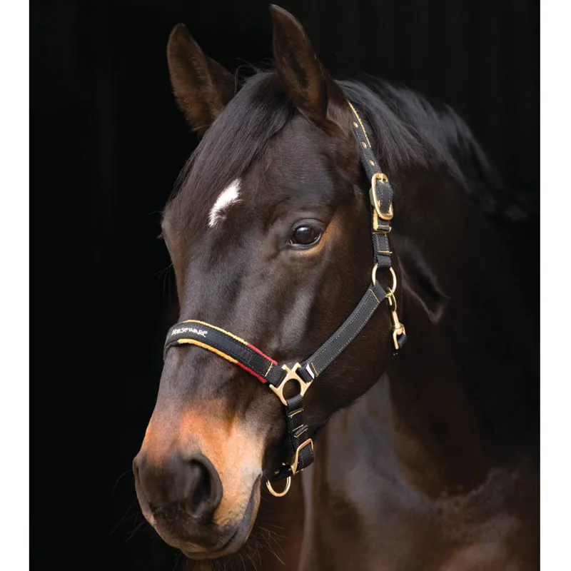 Rambo Newmarket Headcollar - Witney Navy-1