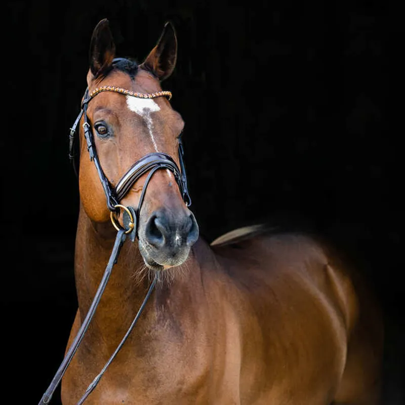 Horze Clermont Padded Flash Bridle - Dark Brown-2