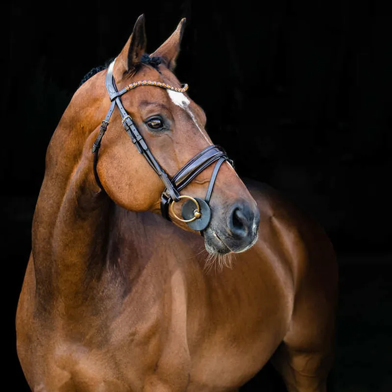 Horze Clermont Padded Flash Bridle - Dark Brown-1
