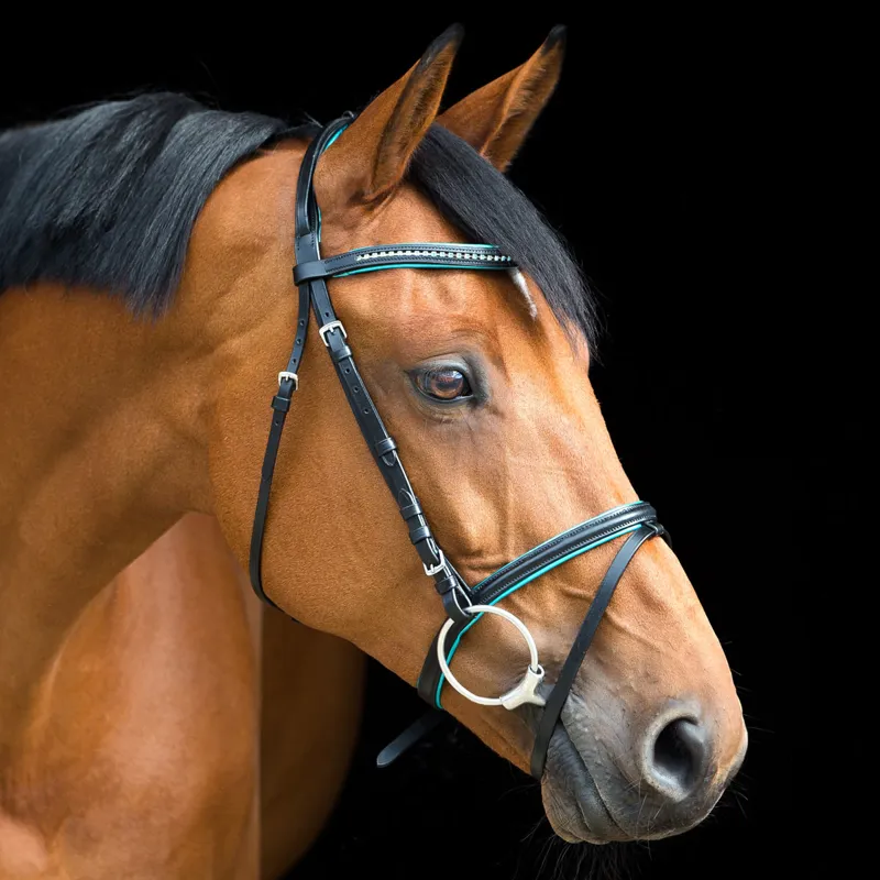 Horze Mette Flash Bridle - Black/Agate Blue