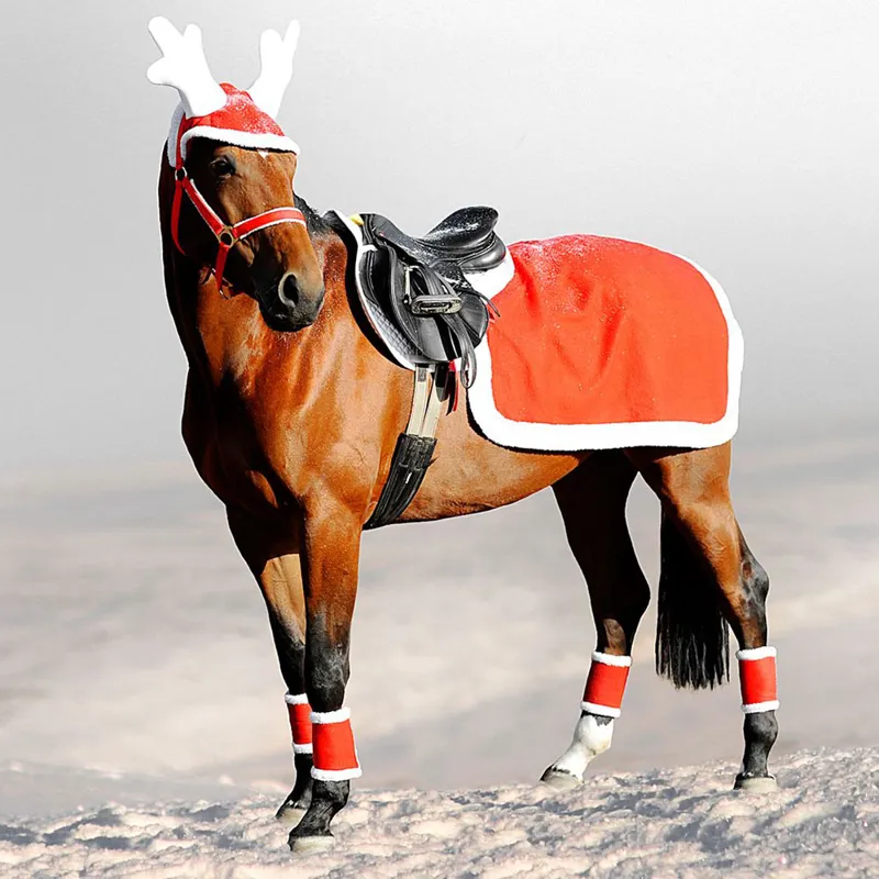 Reindeer ears 2025 for horses