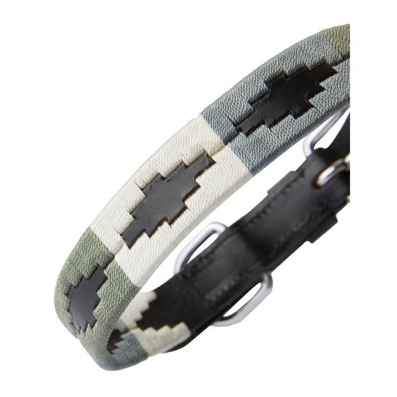 Horze Polo Dog Collar - Beetle Green/Vapor Grey-1