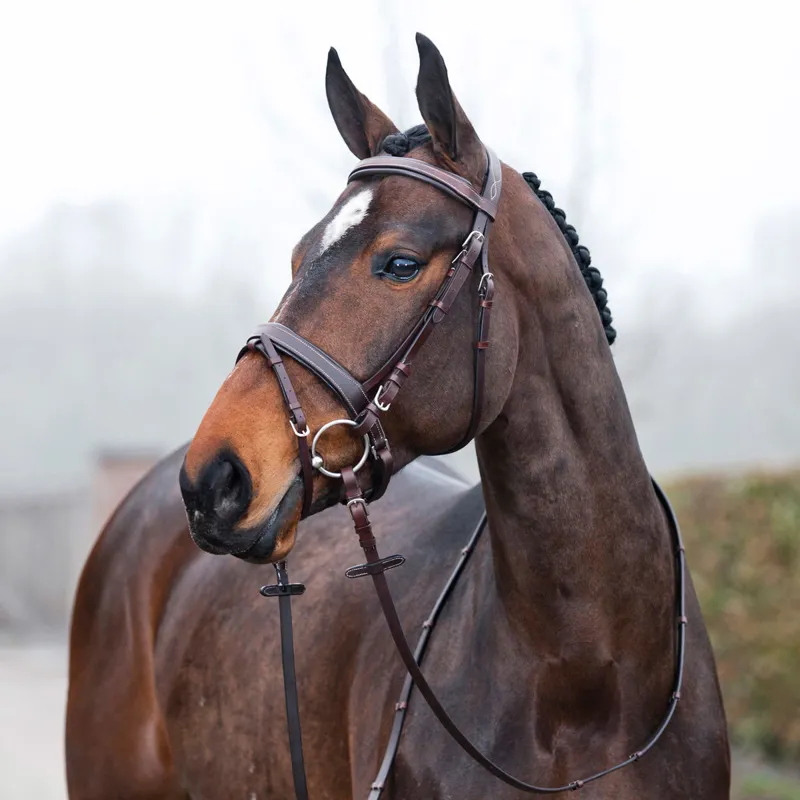 Horze Venice Flash Bridle - Brown