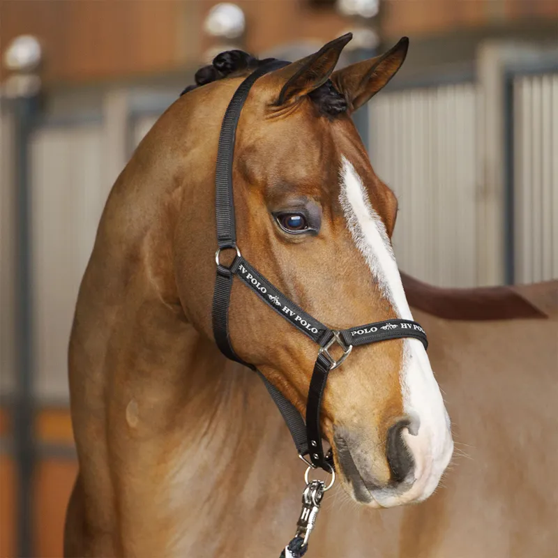 HV Polo Nena Headcollar - Black-2