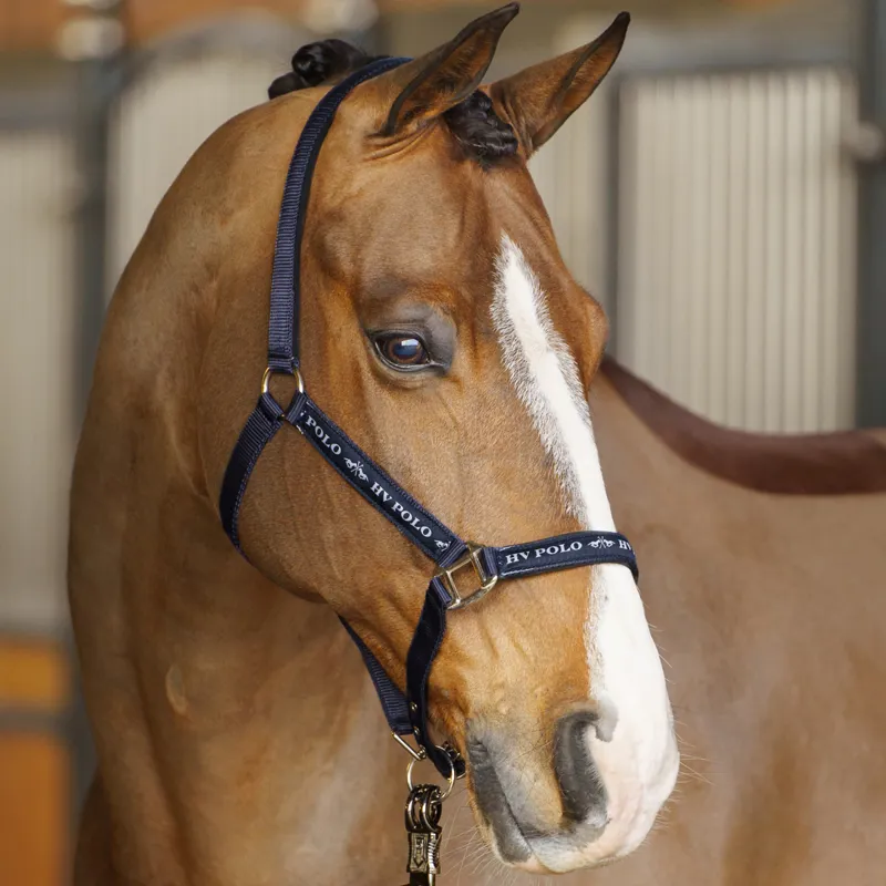 HV Polo Nena Headcollar - Navy-1