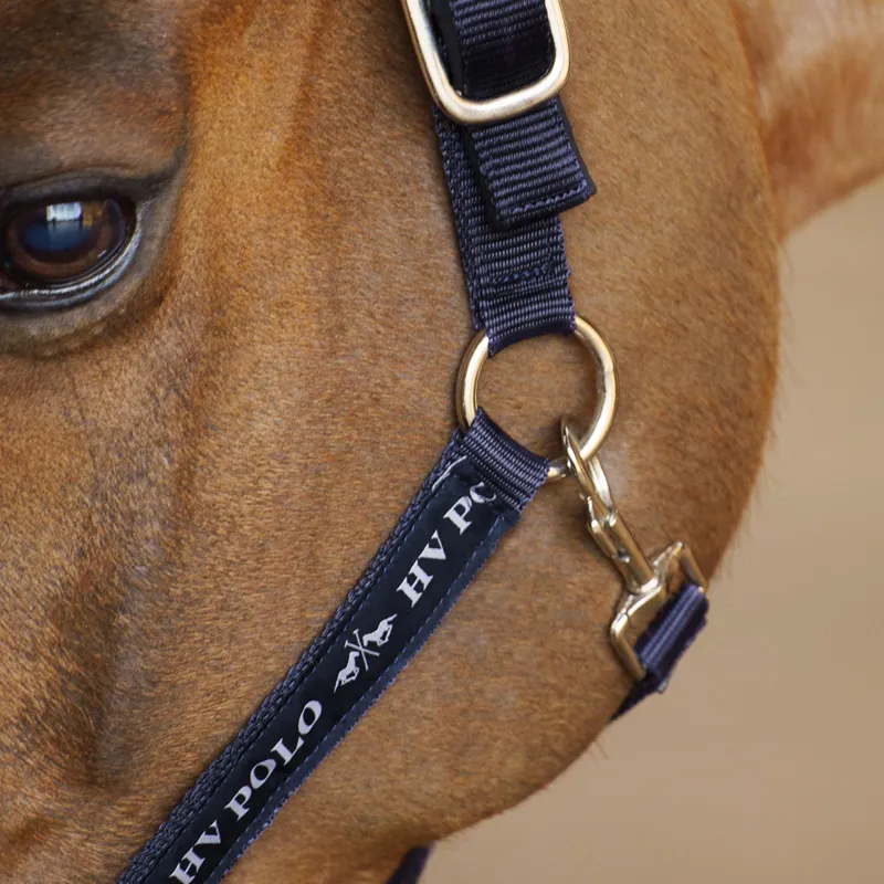 HV Polo Nena Headcollar - Navy-2