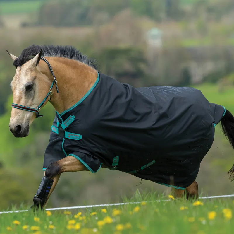 Amigo Hero 900 Lite 0g Disc Closure Turnout Rug - Black/Teal