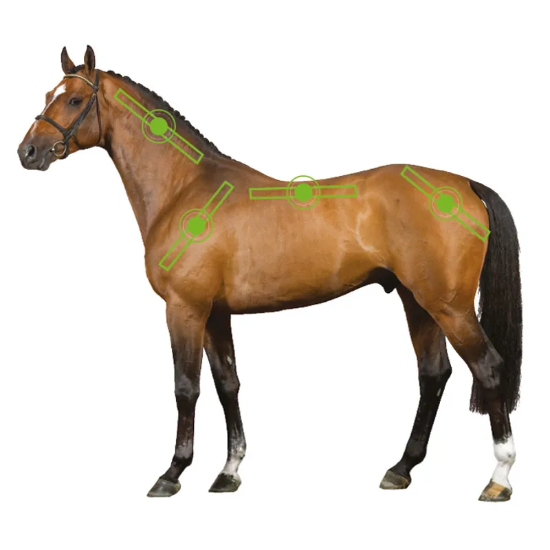 Horseware Sportz-Vibe Massage Therapy Horse Rug - Black/Green