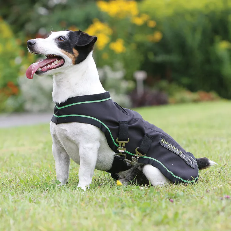 Horseware Sportz-Vibe Massage Dog Rug - Medium - Shop Soiled