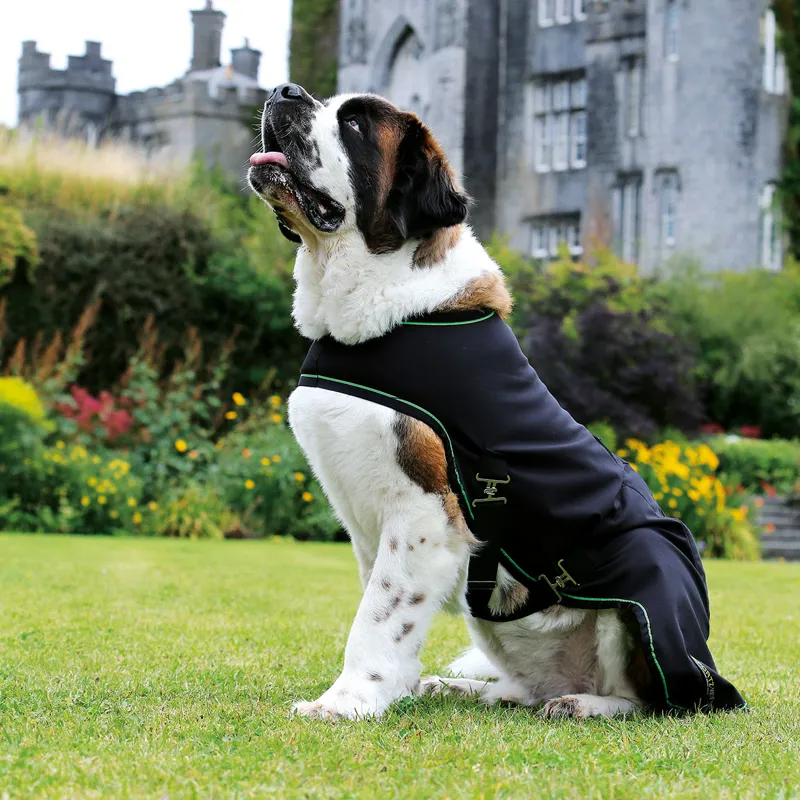 Horseware Sportz-Vibe Massage Dog Rug - Medium - Shop Soiled-1