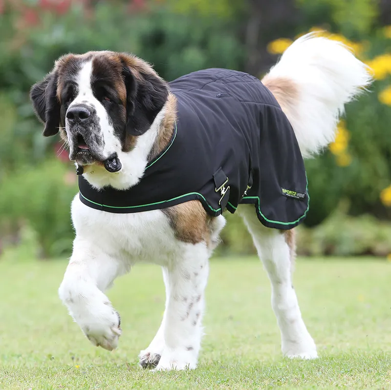 Horseware Sportz-Vibe Massage Dog Rug - Medium - Shop Soiled-2